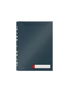   Genotherm lefűzhető A4, Maxi Leitz Cosy Privacy bársonyszürke