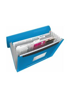   Irattartó mappa, harmonikamappa, A4, PP 6 rekeszes Esselte Vivida kék