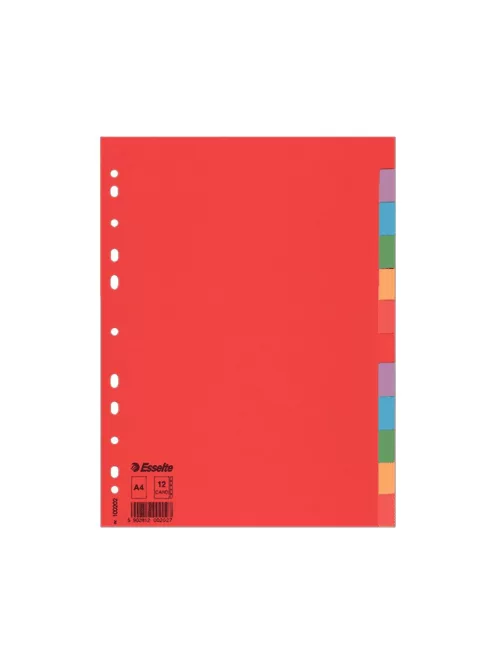 Regiszter A4, 12 részes karton Esselte Economy színes