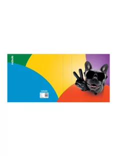 55855