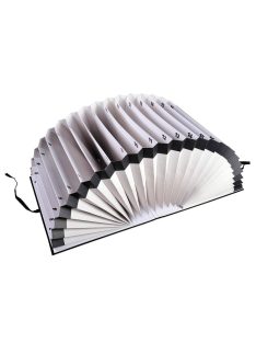   Előrendező 1-31 karton számozott tasakos Exacompta 61650B fekete