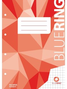   Spirálfüzet A4, 80lap, perforált lyukasztott Bluering® kockás