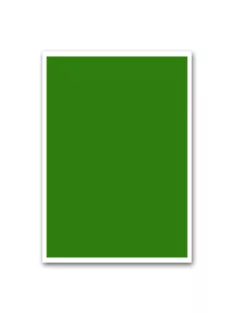 Etikett címke, 210x297mm, 1 címke/lap zöld Bluering®