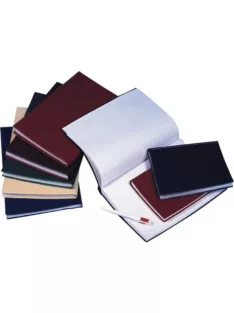   Beírókönyv A4, 200lap fekete PVC borító, Bluering® kockás