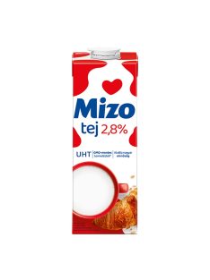 TEJ1MIZO28
