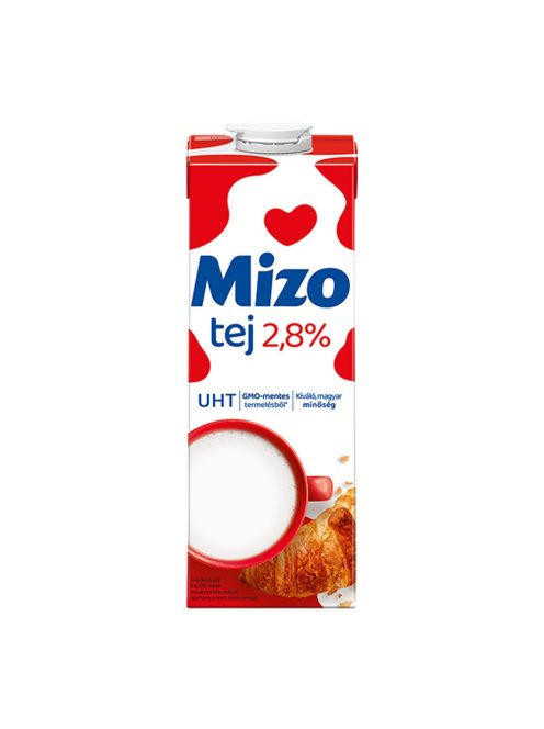 TEJ1MIZO28